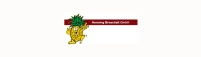 Henning Broscheit GmbH